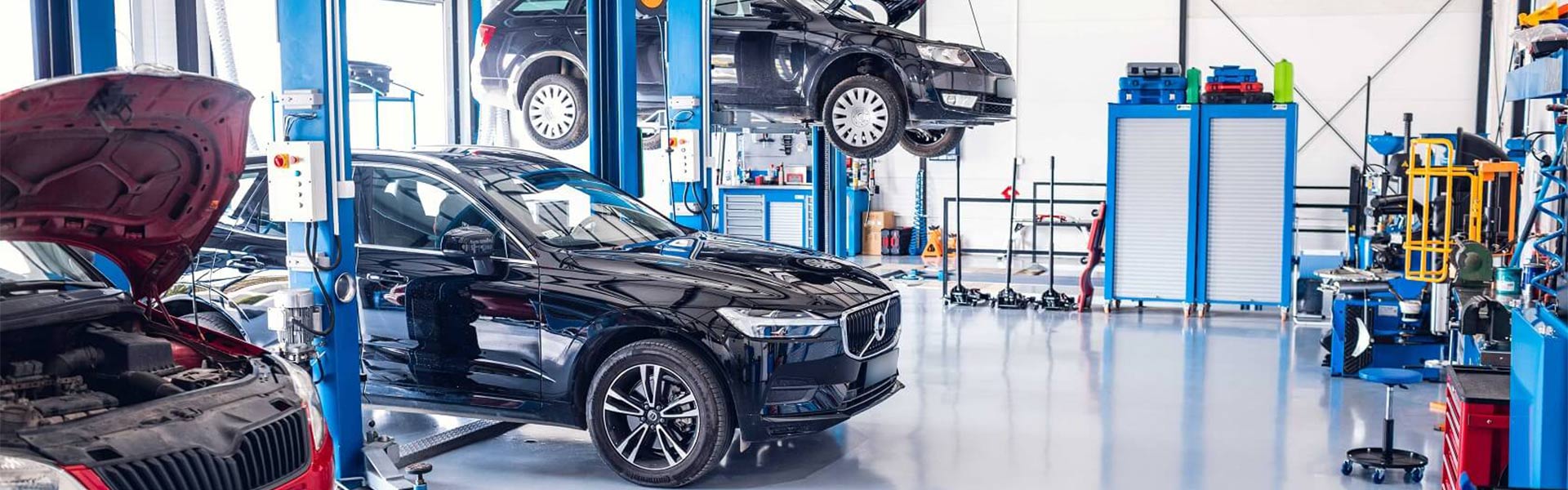 Poliklinika Beograd |  Auto servis Beograd